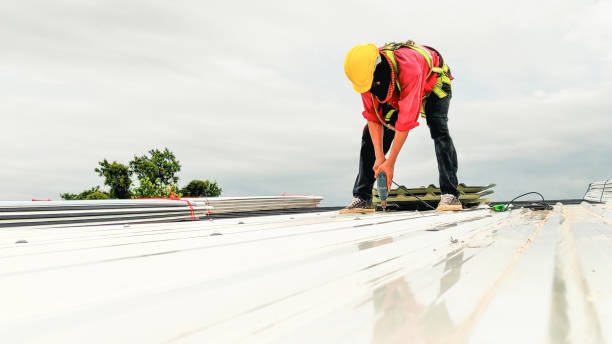 Roof Insulation in Van Vleck, TX